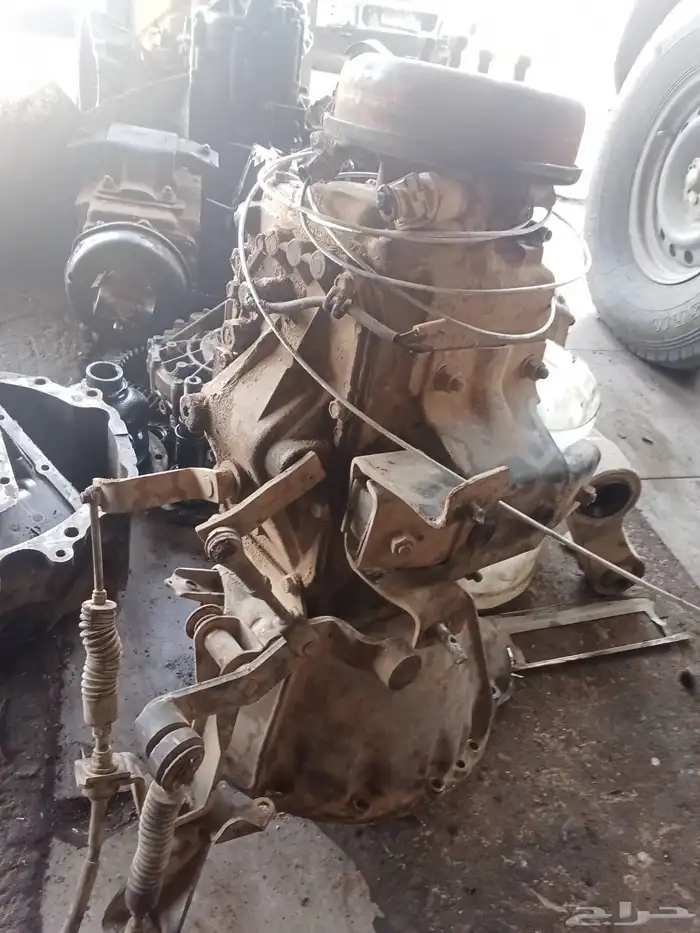 قير دينا جاك 2010 1