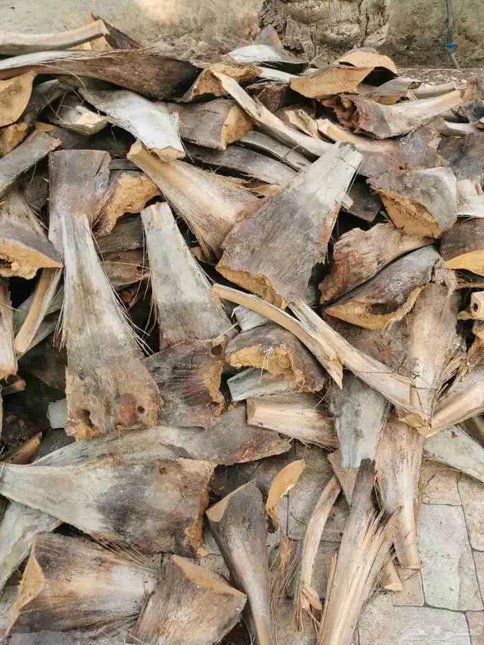 كرب للبيع في الاحساء 0