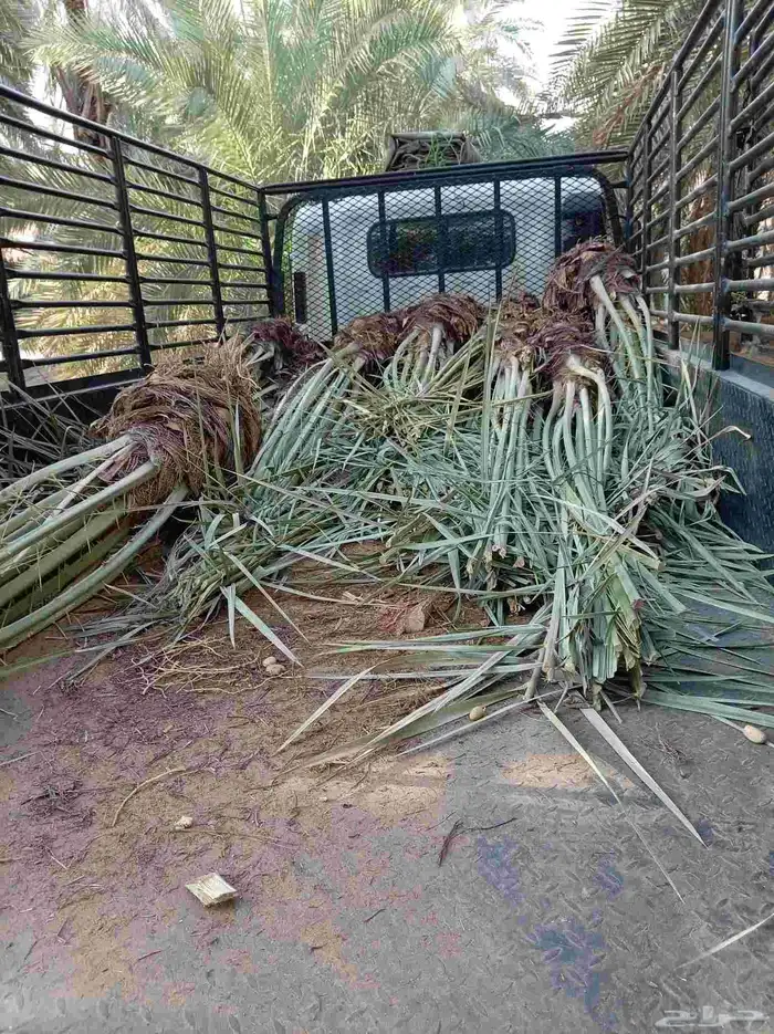 فسايل للبيع منتج مكه جده الطايف 2