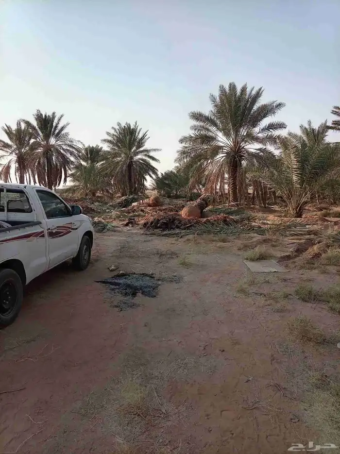 فسايل للبيع منتج مكه جده الطايف 0