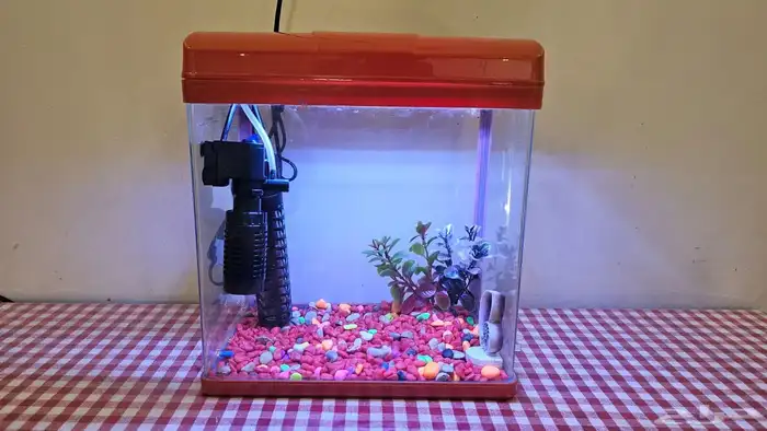 حوض سمك جاهز 0