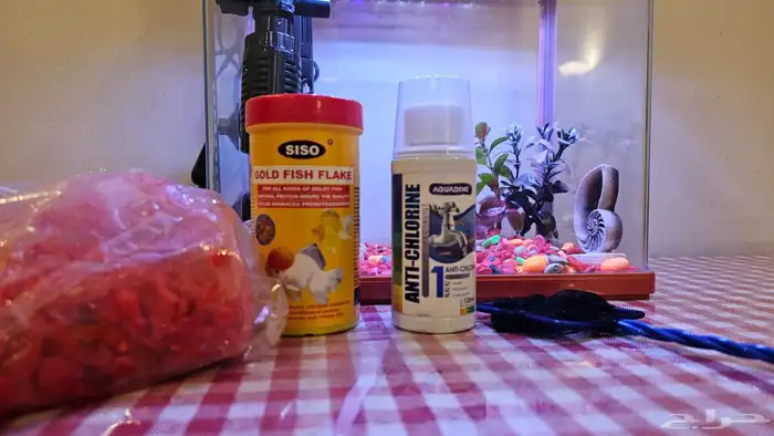 حوض سمك جاهز 6