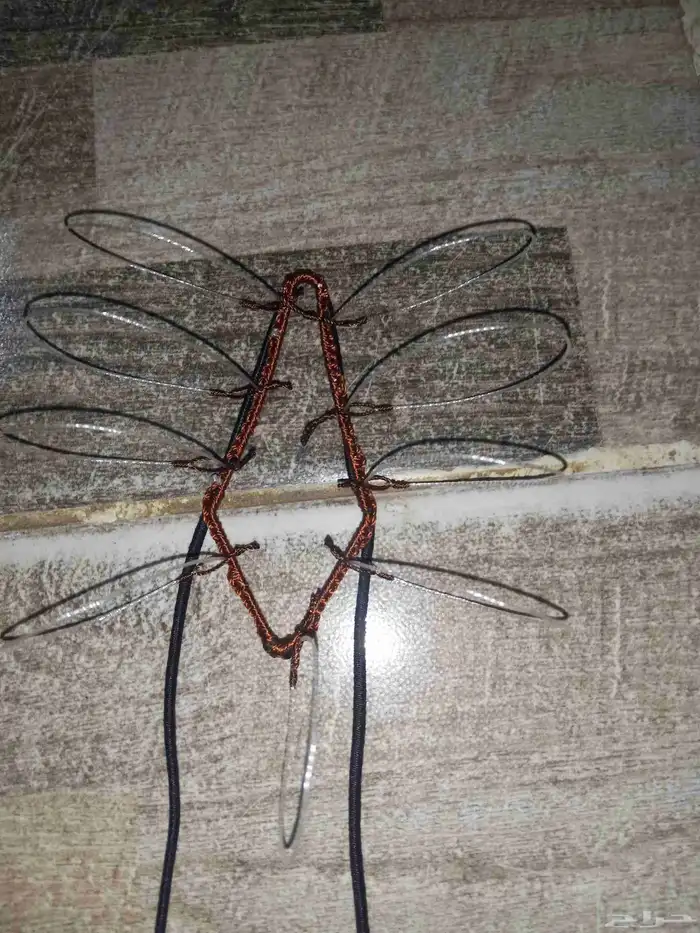 شبك لطرح الصقور 0