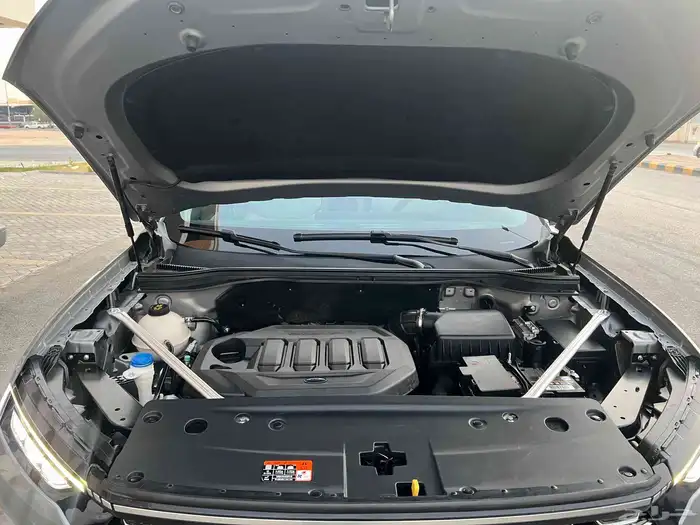 تيريتوري 2024 فئة الترند 0