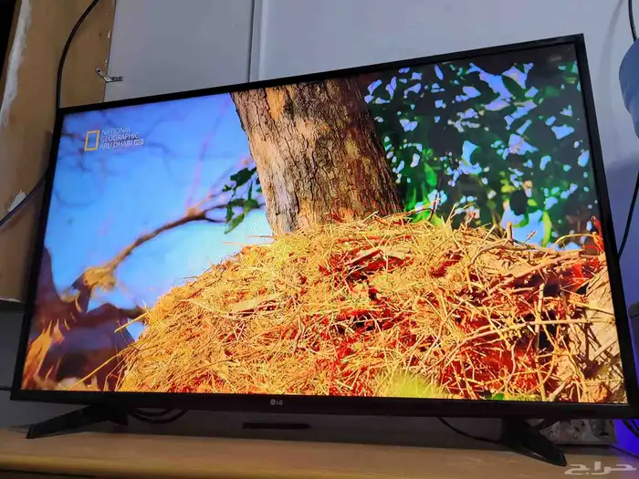 شاشة LG على السوم 3