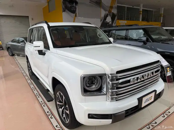 هافال اتش ناين فل اوبشن 2026 10