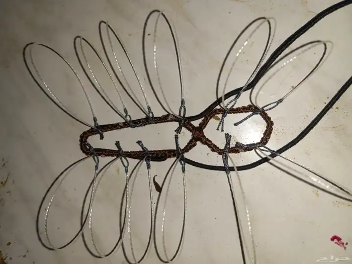 شبك لطرح الصقور 2