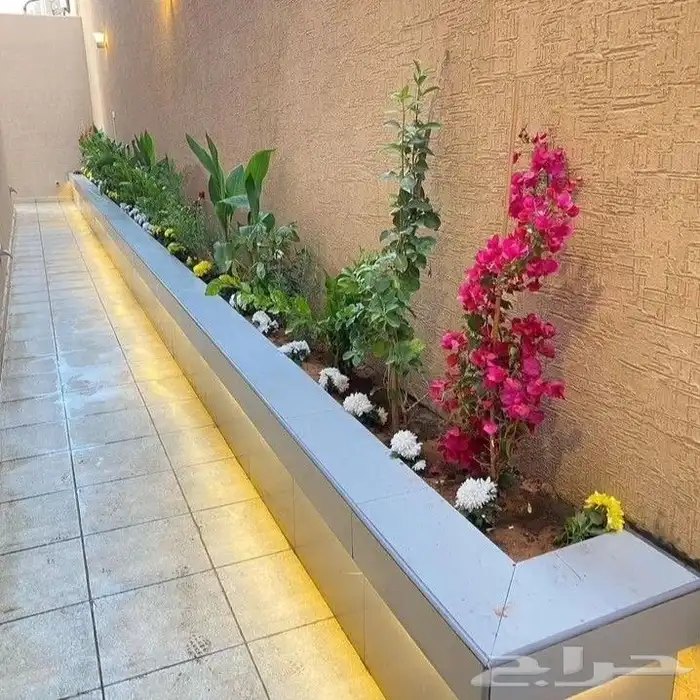 زراعه وحدائق 17