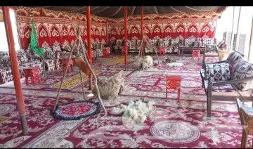 هيئة التراث السعودية تحتفي بيوم التراث العالمي 2
