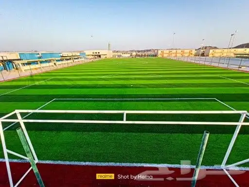 عشب ملاعب كرة قدم 0