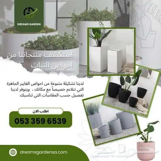 اشجار زيتون صناعية بجذوع طبيعية 2