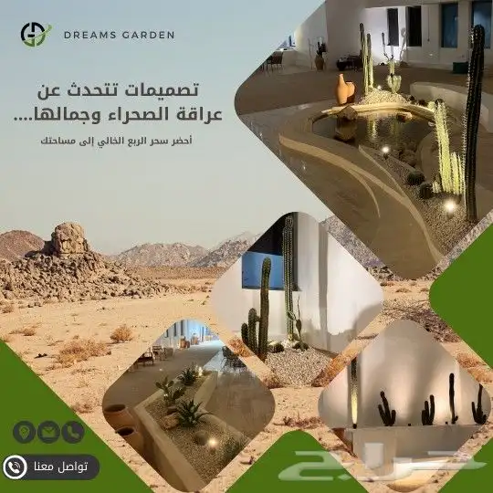 اشجار زيتون صناعية بجذوع طبيعية 8