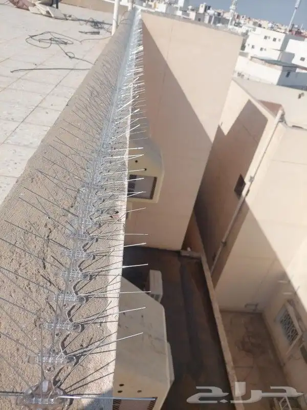 طاردلاطورليطور 6