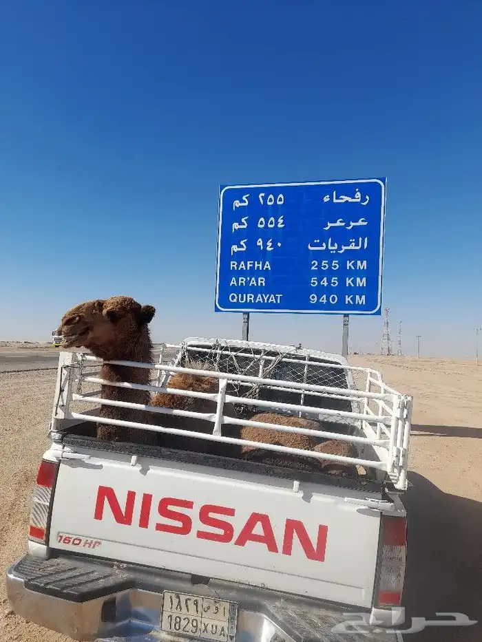مندوب توصيل الحفر وضواحيها 0
