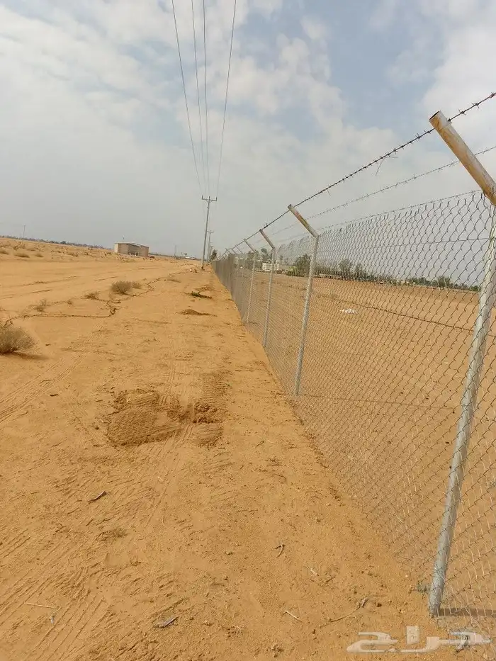 مقاول شبوك ونخيل 5