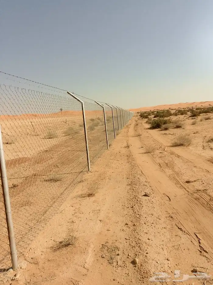 مقاول شبوك ونخيل 6