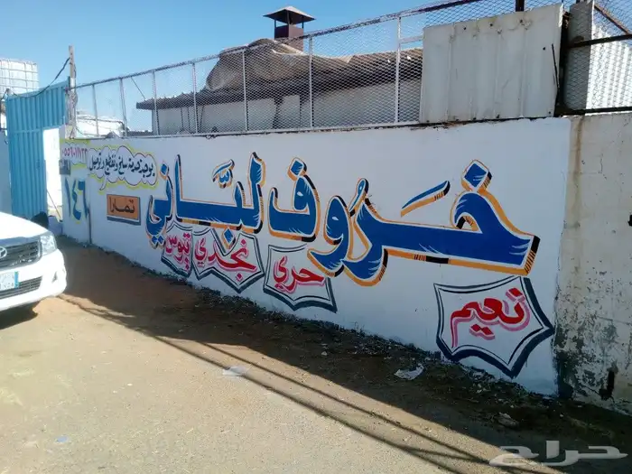 خطاط ورسام جداريات لوحات إعلانية وجهات محلات مدارس كافيهات ا 0