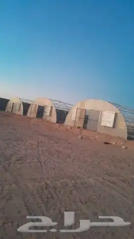 فني بيوت محميه 8
