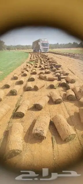 ثيل طبيعي 7