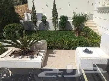 تنسيق الحدائق تبوك طريق المدينه 5