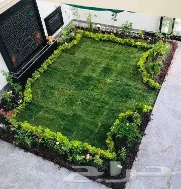 تنسيق الحدائق تبوك طريق المدينه 6