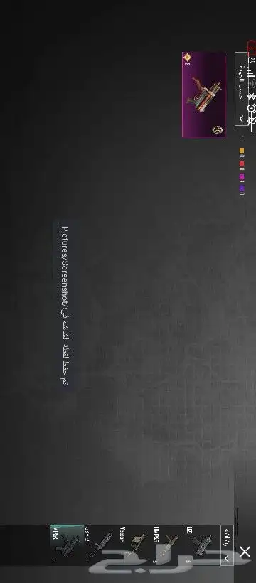 حساب ببجي للبيع 17