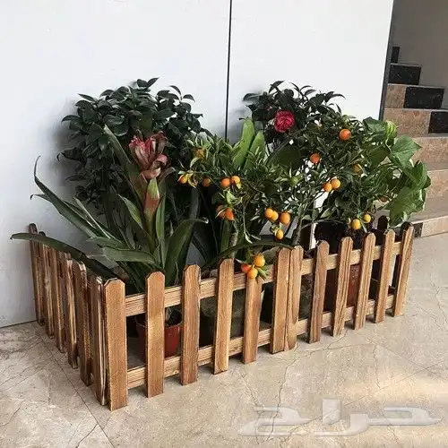 تنسيق الحدائق تبوك طريق المدينه 1