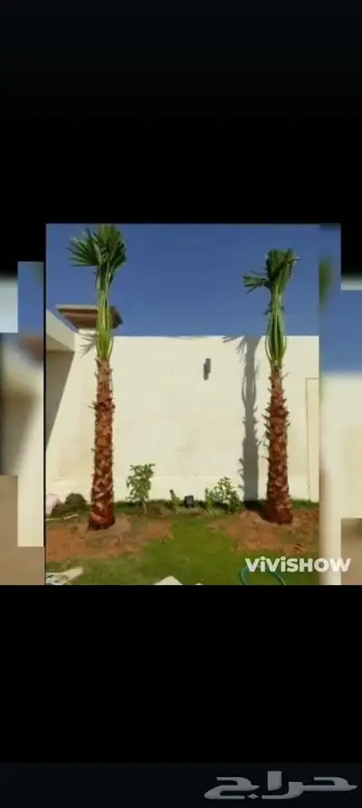 يوجد لدينا جميع انواع انخيل 7