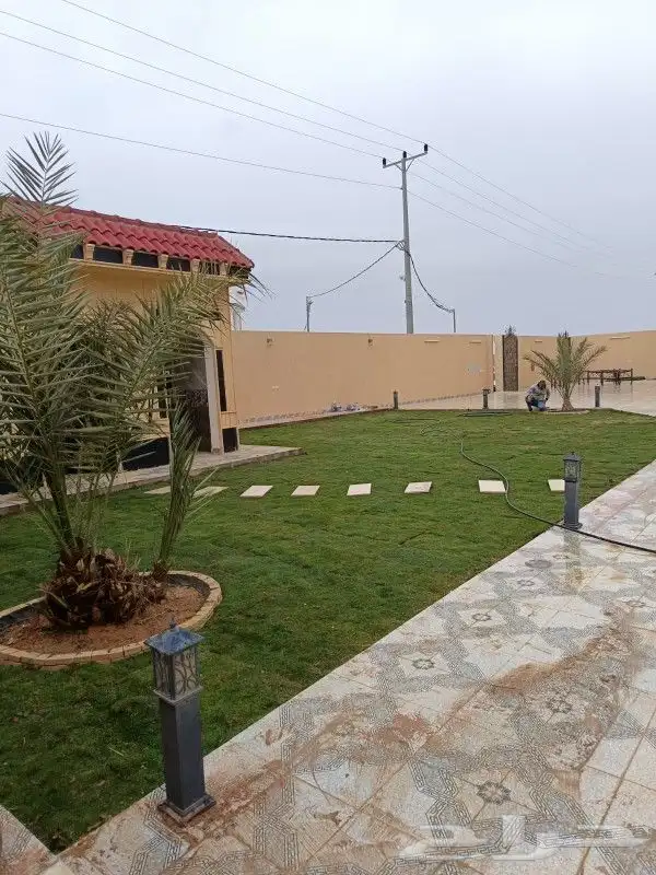 تنسيق حدائق مظلات جلسات اشجارورد سواتر ثيل طبيعي 1