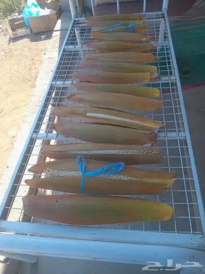 القاح انخل متوفر اليوم معنا جديد من حاب توصل معنا علا الجوال 1