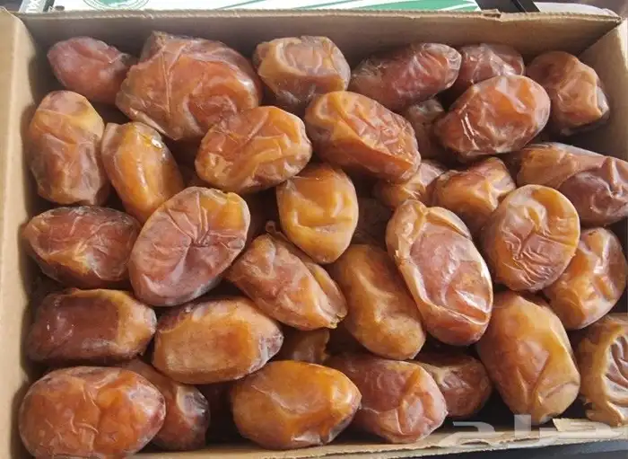 تمر خلاص أشيقر رطب ((جملة فقط)) 1