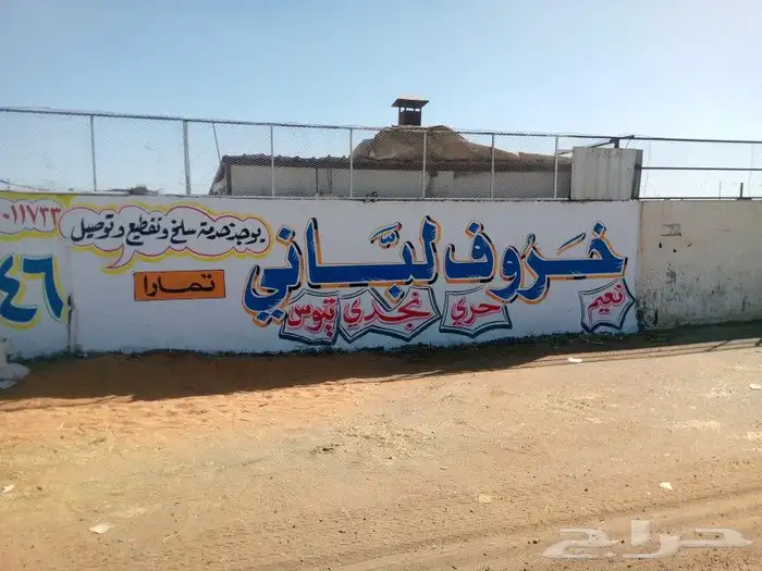 خطاط ورسام جداريات لوحات إعلانية وجهات محلات مدارس كافيهات ا 4