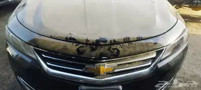 IMPALA ق ر وم  ن 1