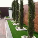 مشتل زهرة الربيع بجده 8