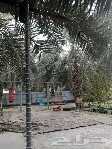 دوانيات شبابية للايجار 0
