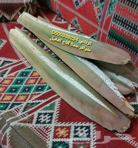 اجود انوع القاح للنخيل 1