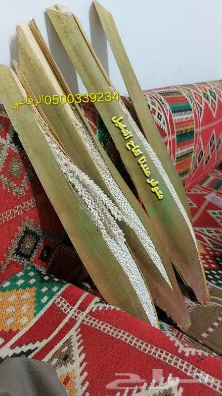 اجود انوع القاح للنخيل 2