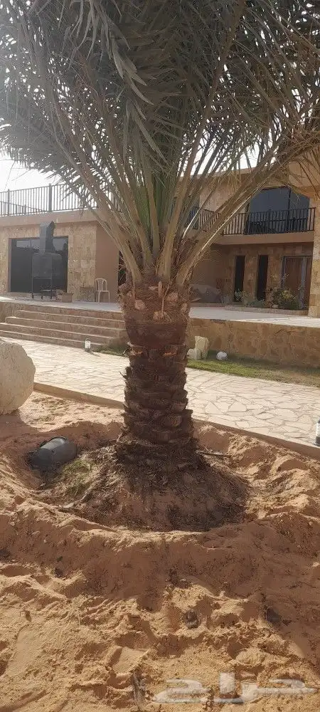 تكريب وقلع وتشكويك المزاحمية الرياض الجله ضرماء شقراء مله 2