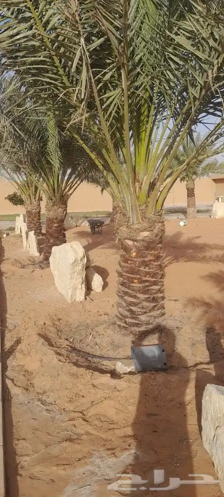 تكريب وقلع وتشكويك المزاحمية الرياض الجله ضرماء شقراء مله 0