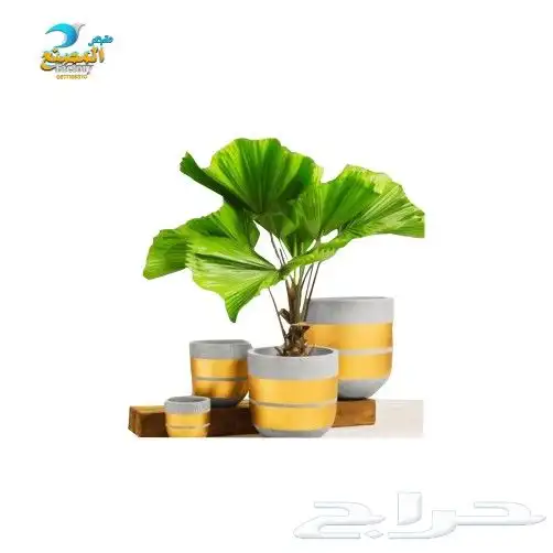 شلالات ونوافير وأحواض المصنع لصناعة الفايبرجلاس 22