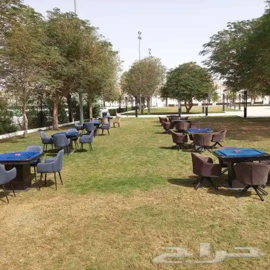 الحفلات الرياض 0