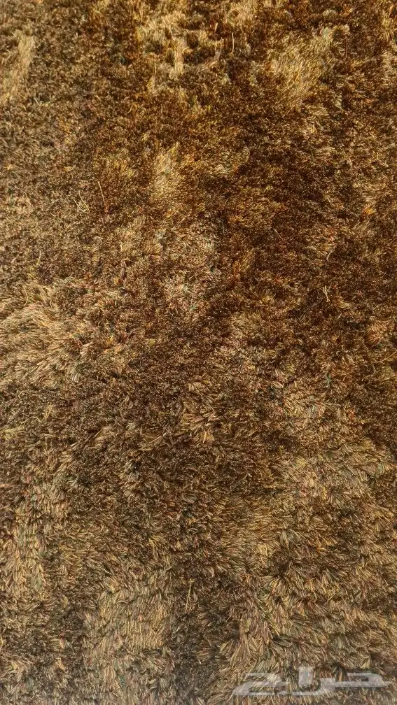 سجادة للبيع 0