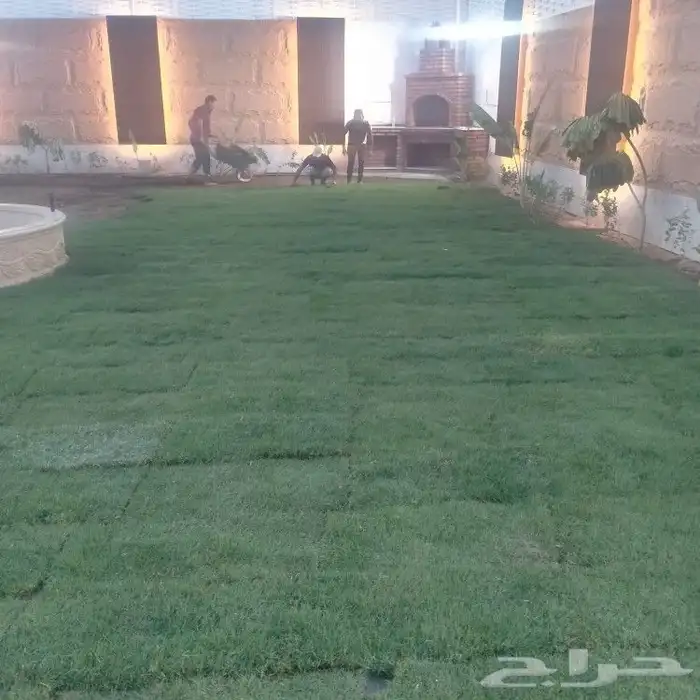 تنسيق حدائق ثيل طبيعي الاشجار الطبيعي شبكات ري 6