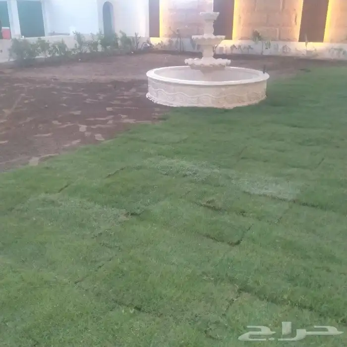 تنسيق حدائق ثيل طبيعي الاشجار الطبيعي شبكات ري 5