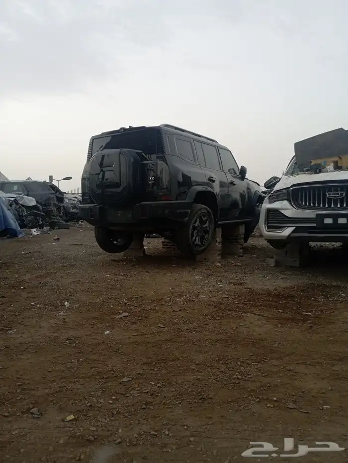 شانجان 2023 3