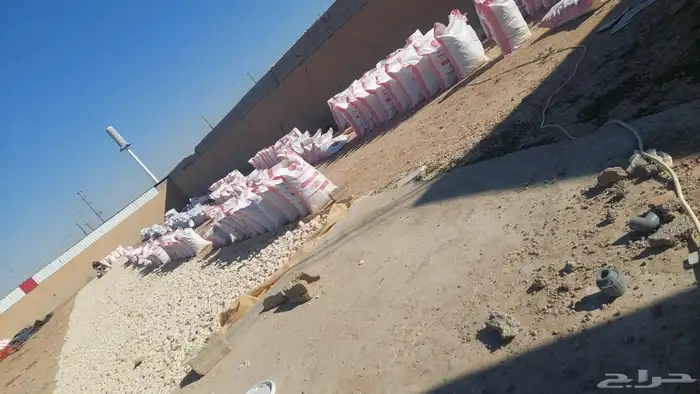 خبز عجينه مجففه حق ابل وغنام يوجد كميه ويوجد توصيل لاي مكان 0