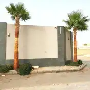 جميع انواع النخيل متوفره 8