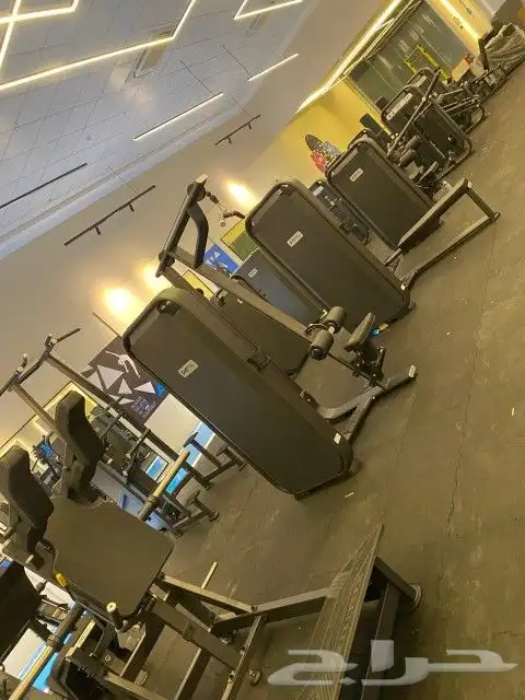 الحق العرض قبل نفاذ الكميه توريد فوري 12