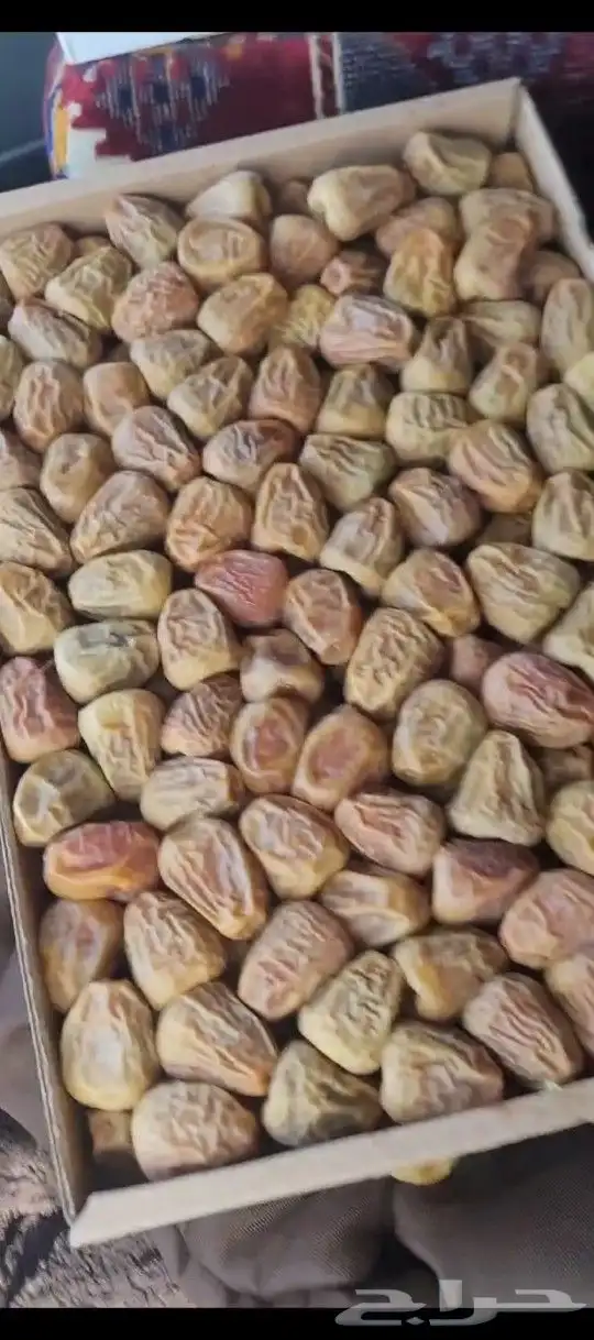 تمر سكري مفتل 0
