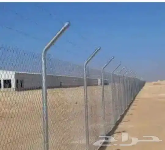 أشجار زيتون ونخيل وتركيب الشبوك 9